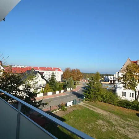 Konik Morski - Vento