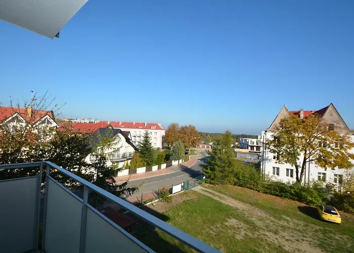 Konik Morski - Vento